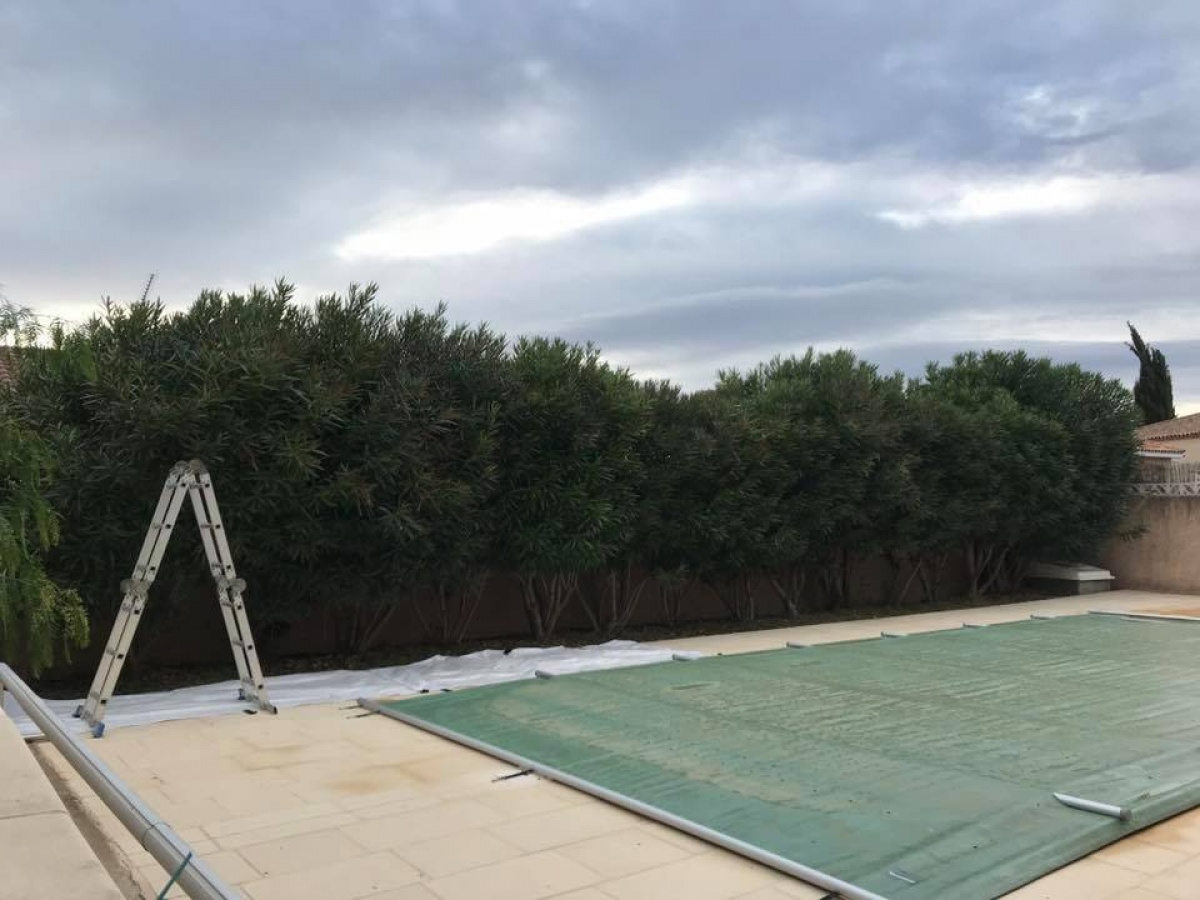 Taille de haie autour d'une piscine